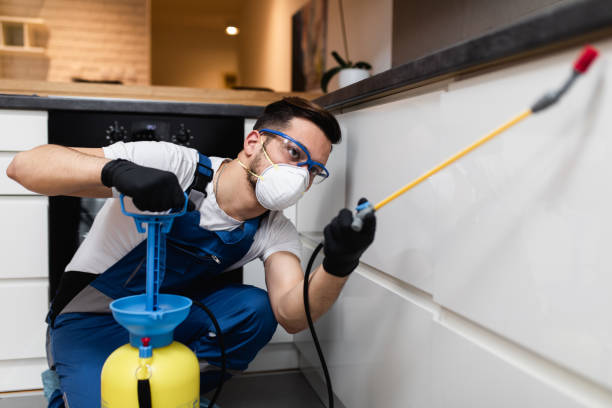 Best Emergency Pest Control  in Elmira Heights, NY