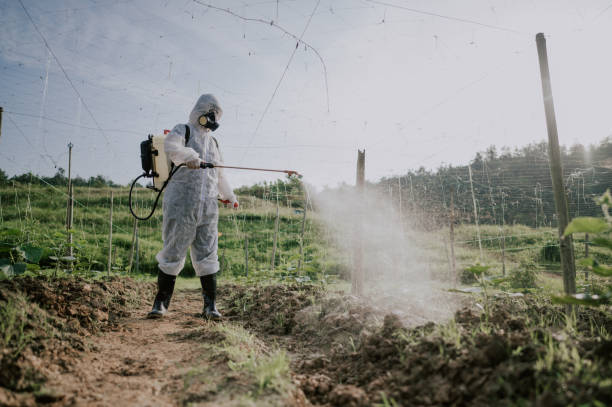 Best Commercial Pest Control Services  in Elmira Heights, NY
