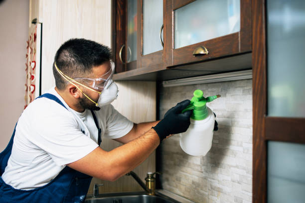 Best Pest Control Near Me  in Elmira Heights, NY