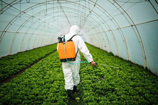 Best Best Pest Control Companies  in Elmira Heights, NY