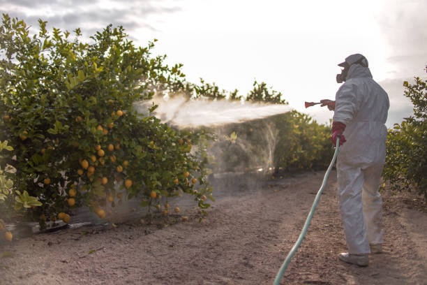 Best Residential Pest Control  in Elmira Heights, NY