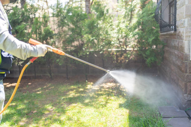 Trusted Elmira Heights, NY Pest Control Experts