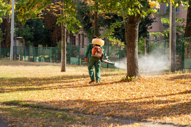 Best Wildlife Control Services  in Elmira Heights, NY